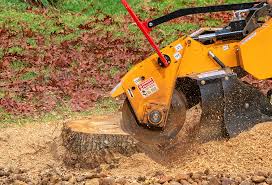Best Leaf Removal  in Clayton, NJ